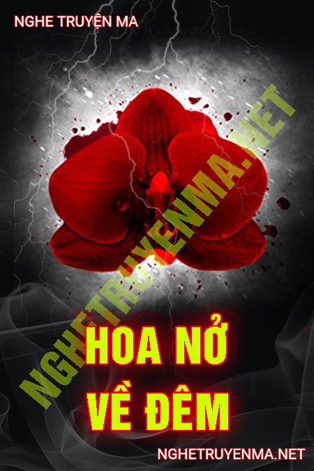 Hoa Nở Về Đêm