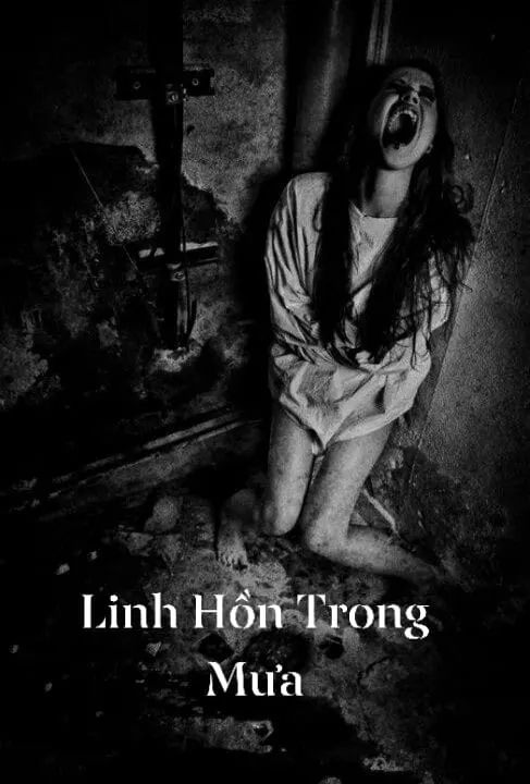 Linh Hồn Trong Mưa