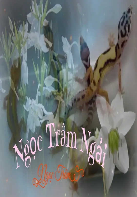 Ngọc Trâm Ngải