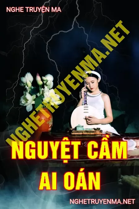 Nguyệt Cầm Ai Oán Lúc Nửa Đêm